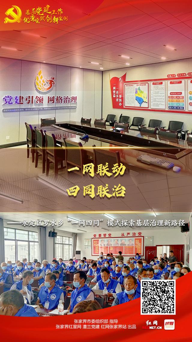 张家界市基层党建工作优秀实践创新案例：永定区罗水乡“一网四同”模式探索基层治理新路径