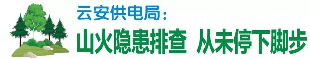 南方电网广东云浮供电局：全力防范森林火灾 确保电力设施安全（供电公司防森林火灾方案）