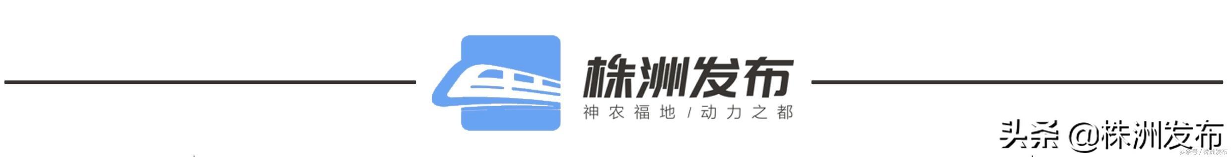 醴陵党建实施“组织力提升工程”，推动高质量发展（党组织组织力提升工程）