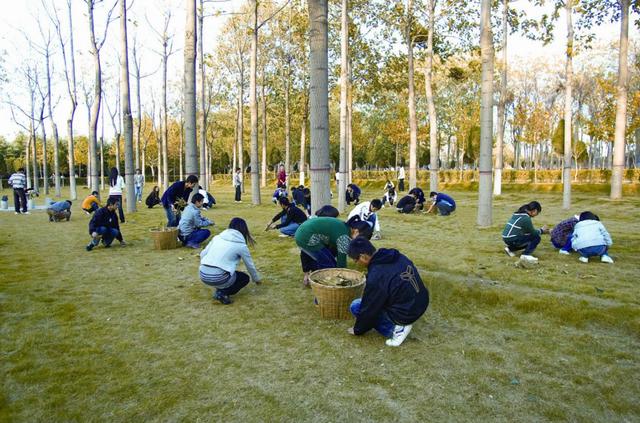 鄭州升達經貿管理學院：耕好文化育人責任田 打通實踐育人“最后一公里”