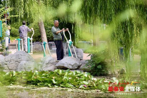 我為群眾辦實事丨“黨旗紅”引領“生態綠”城市園丁篤行實干傾心為民