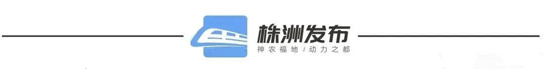 【解讀黨代會精神】如何大力實施“動力黨建”工程、錘煉過硬干部隊伍？