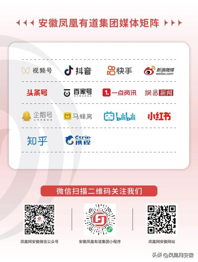 《合肥律师行业社会责任报告（2023）》第六篇（合肥律师行业现状）