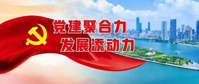 “党建聚合力”工程特色案例⑦｜深入实施“党建聚合力”书记创新项目