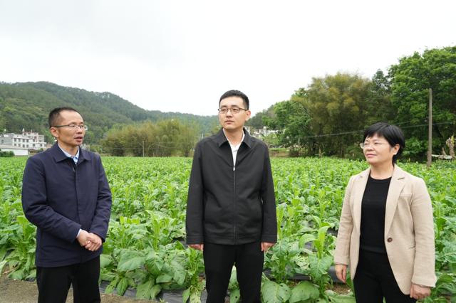 喜报！永定区党建目标管理考评获得全市第一（党建目标管理考核）