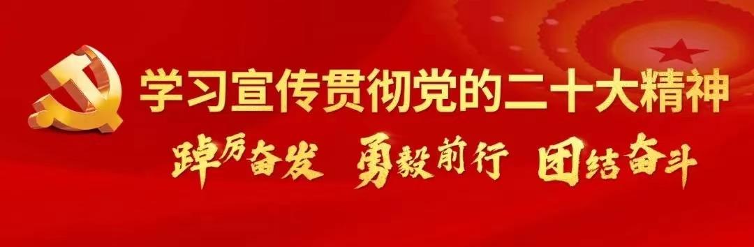 坚持党建统领 强化“五个聚焦”构建新时代公安党建与队建工作新格局