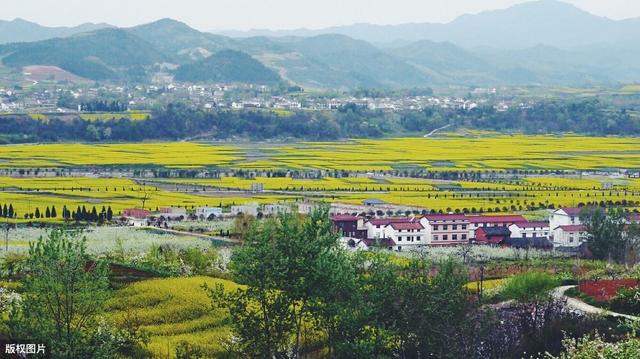 党建领航跑出脱贫攻坚“加速度”（党建引领助脱贫,精准发力促攻坚）