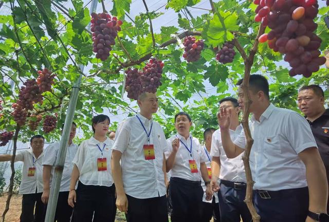 華陰市羅敷鎮：黨員管理“小積分” 激發基層治理“大干勁”（黨員管理小積分激發大活力）