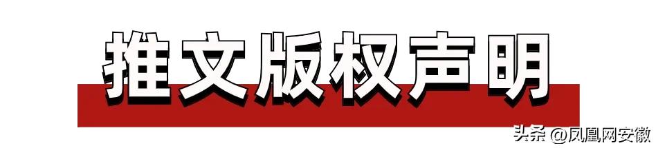 《合肥律师行业社会责任报告（2023）》第六篇（合肥律师行业现状）