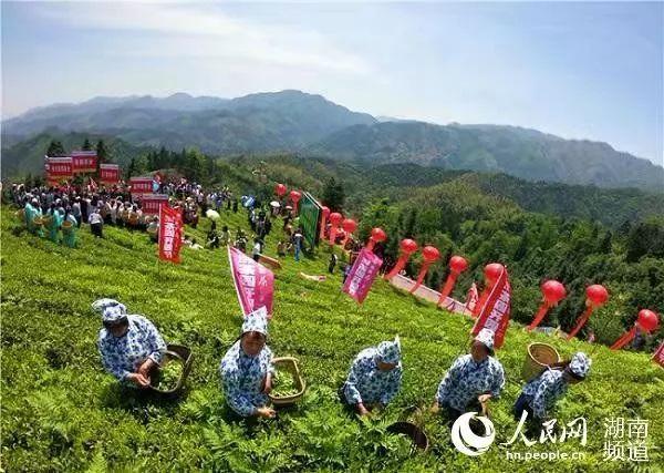 一年一度的党建年终大考，看书记们如何作答？（这一年,党建）