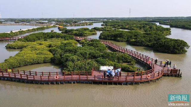 駐湛江市麻章區湖光鎮工作隊：強基+造血+外聯 推動鄉村振興全面見成效