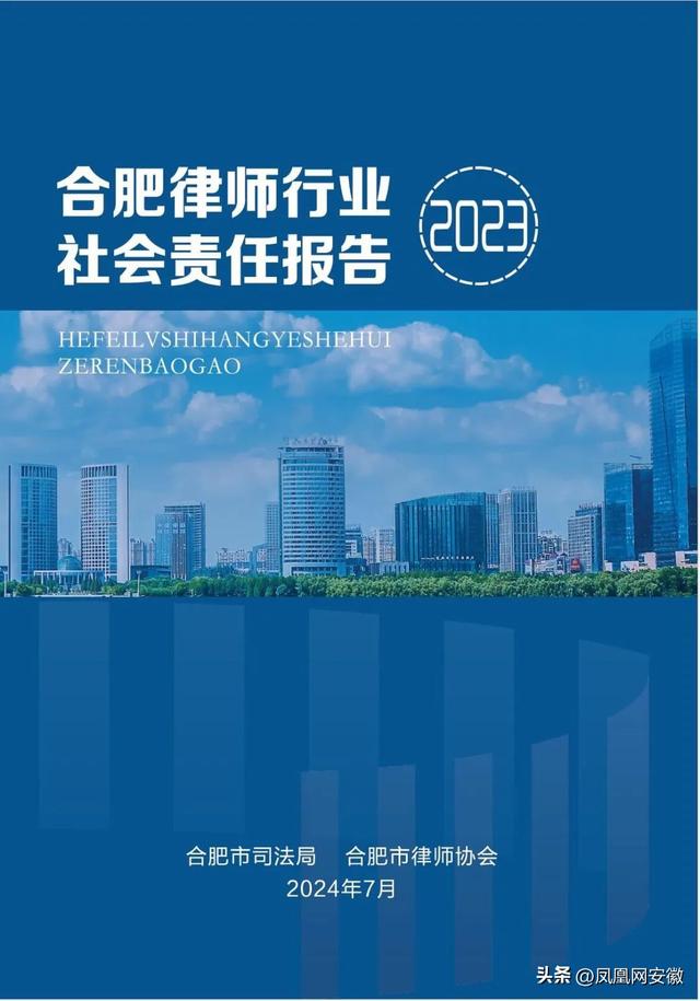 《合肥律师行业社会责任报告（2023）》第六篇（合肥律师行业现状）