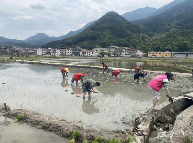 2023年5月份主题党日实践活动集锦 - 奋进红五月，凝心聚力向前进（2021年5月主题党日活动推荐）