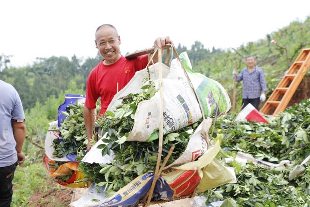 開江縣“三項舉措”夯實駐村幫扶隊伍 促進鄉(xiāng)村振興走深走實（駐村幫扶工作隊鄉(xiāng)村振興）