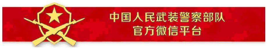 人民武警拍了拍你：點我，換上建黨百年專屬頭像!（武警軍人頭像）