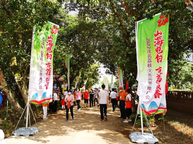 黨旗一線飄 美荔別樣紅！霞洞鎮“紅色黨建”助推荔枝產業新發展