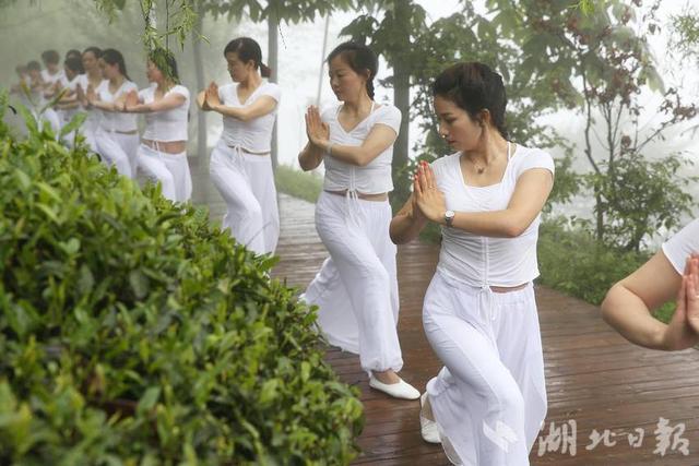 竹溪：黨建強鏈讓茶葉變“茶業”