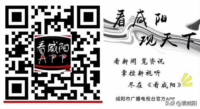 長武縣：小小核酸貼 黨建大成效（詩社的名字）