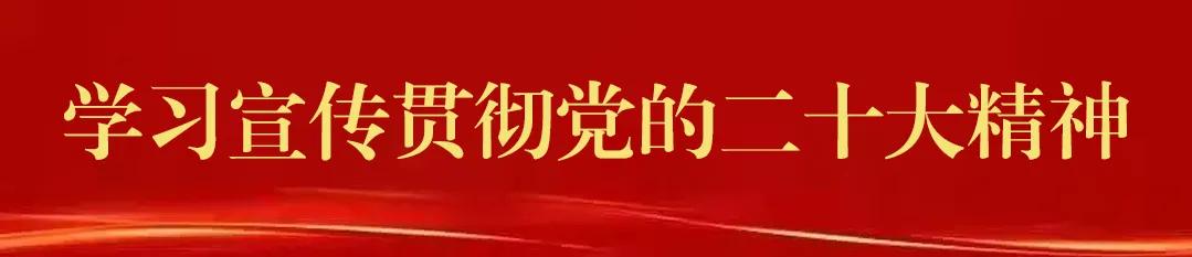 鞏固提升“抓強整樹”丨以“四個一”工作模式構建“四個一流”黨建格局