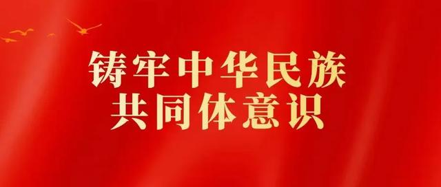 【伊州區基層治理】匯聚黨建“新勢能” 賦能網格“精治理”（黨建引領基層網格化治理）