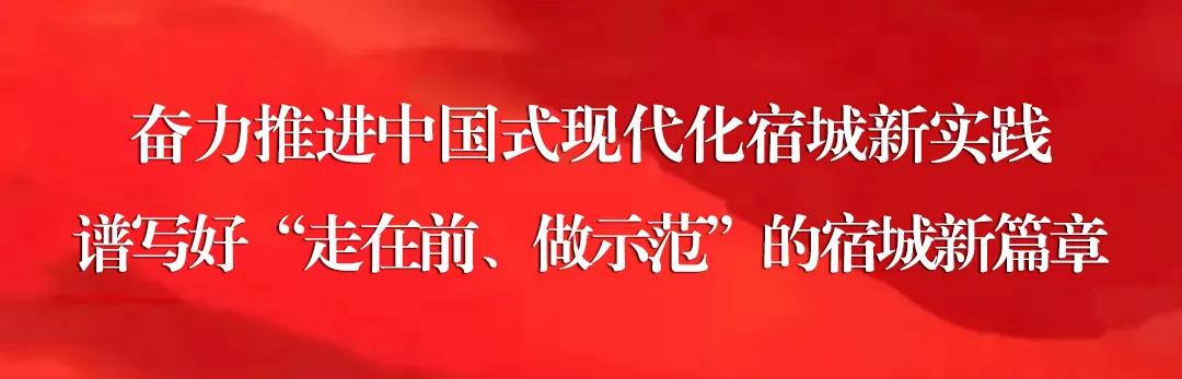 區(qū)委召開(kāi)2024年度黨委（黨組）書(shū)記抓基層黨建工作述職評(píng)議會(huì)（2020年黨委書(shū)記抓基層黨建述職）