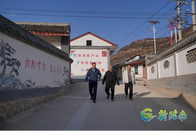 成縣：黨建引領繪就美麗鄉村新畫卷（黨建引領 美麗鄉村）