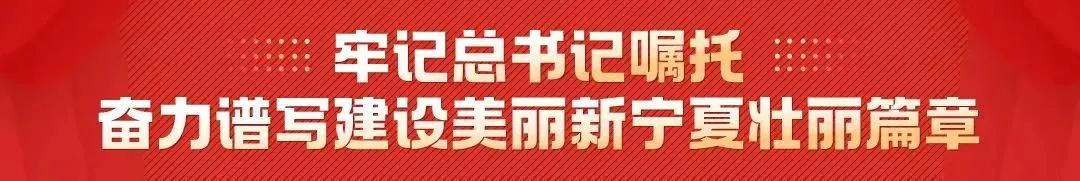 銀川經開區：互聯網+黨建 讓基層黨組織煥發新活力（互聯網+基層黨建）