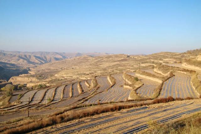 青嵐山鄉：黨建引領搶“墑”機 層層梯田穿“暖衣”——全力推進秋覆膜保墑保豐工作