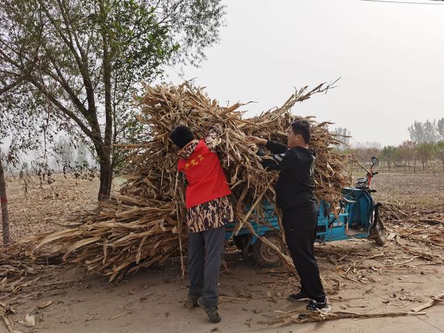 村美民富譜新篇——臺前縣孫口鎮西街村黨建引領鄉村振興工作綜述