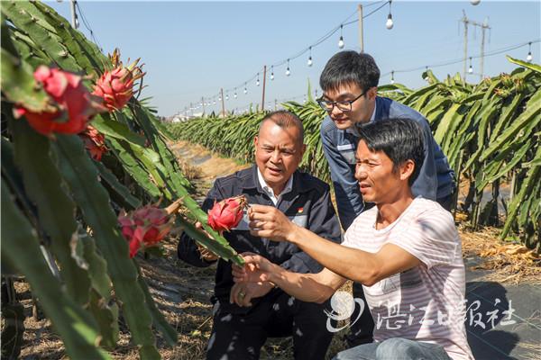 脫貧攻堅“三步走”有效銜接鄉村振興（脫貧攻堅如何銜接鄉村振興）