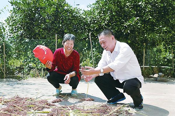 永不停歇的老黃牛——記全國優秀黨務工作者、湖南省株洲市紀委監委原調研員陳和平