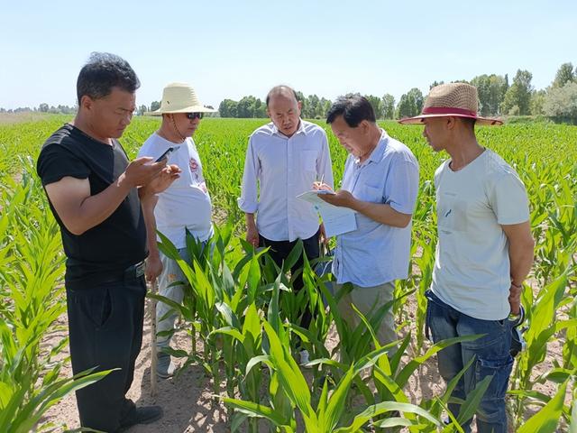 黨旗高揚(yáng)風(fēng)帆勁 踔厲奮發(fā)譜新篇 ——蓼泉鎮(zhèn)2022年黨建工作綜述（黨建工作 2020）