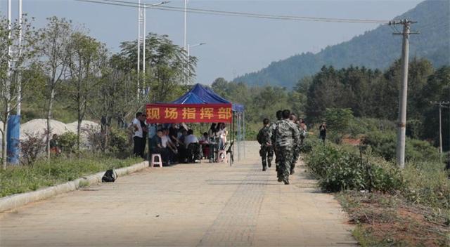 湖南城步：堅持黨建引領，守護林業生態綠（黨建引領林業工作上新臺階）