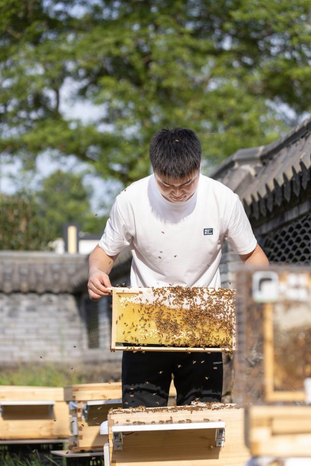 福鼎市疊石鄉：數智化蜂箱助力鄉村振興（福鼎市疊石鄉丹峰村）