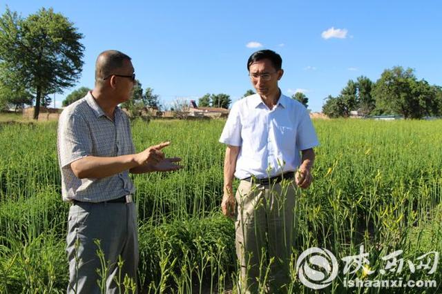 定邊緊扣“四點”統籌推進基層黨建工作（黨建統領基層治理）