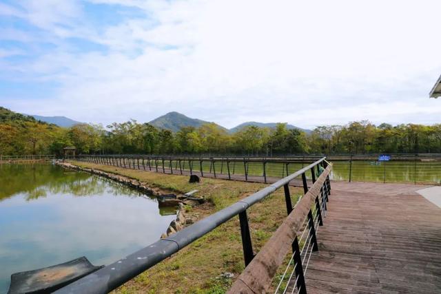 明熱村：黨建引領，激活鄉村振興“源動力”（黨建引領活力村莊）