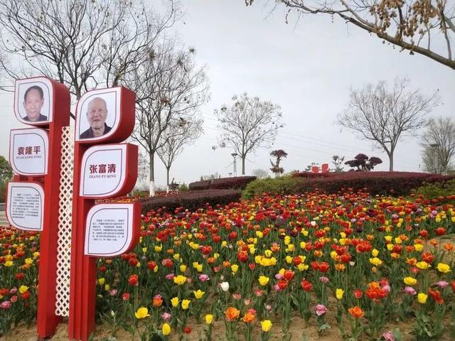 各地黨建主題公園的紅色景觀小品（各地黨建主題公園的紅色景觀小品有哪些）