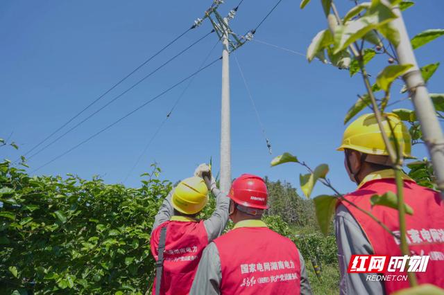 國網桂陽縣供電公司：黨建引領 啟動 “黨建+”工程新征程（供電公司黨建引領促發展）