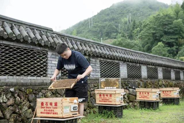 福鼎市疊石鄉：數智化蜂箱助力鄉村振興（福鼎市疊石鄉丹峰村）