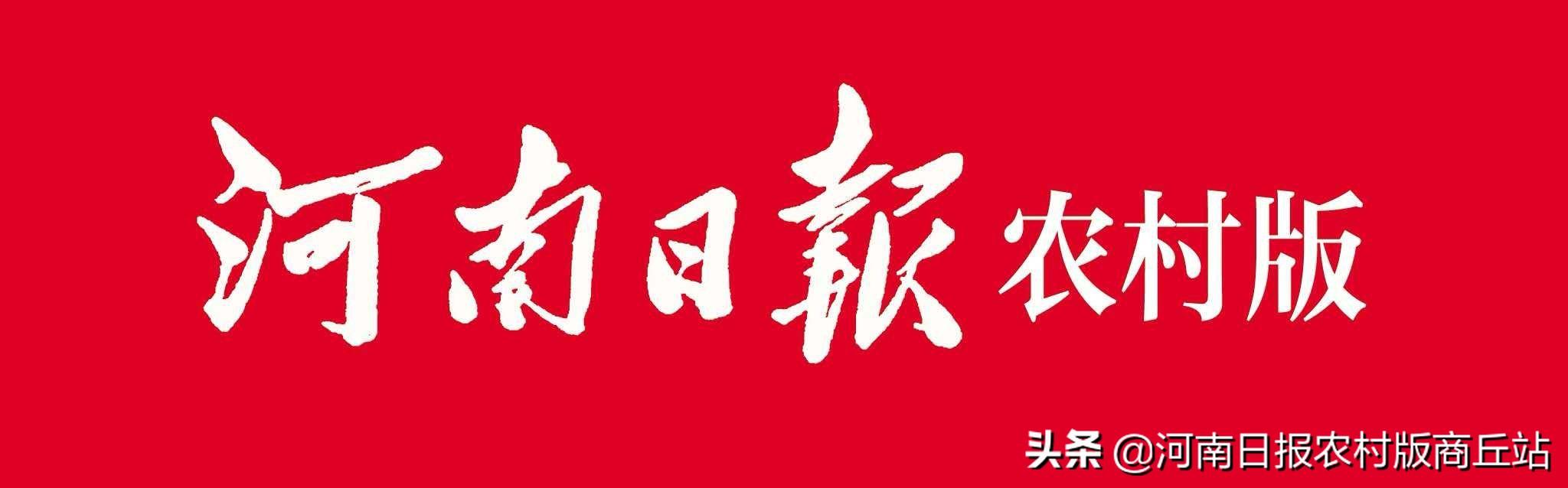 永城市演集街道：強化黨建引領，筑牢“防疫堡壘”（黨建引領筑牢疫情防控）