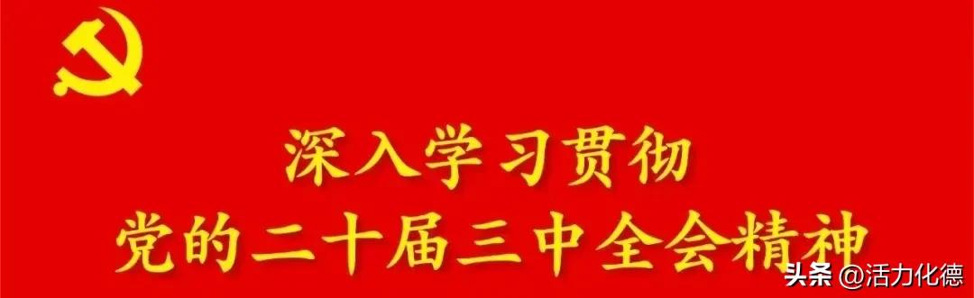 化德縣：“四個聚焦”扎實推進基層黨建（基層黨建聚焦四大行動）