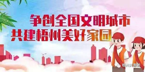 @青年干部，團梧州市委公開遴選1名公務員，正在報名中！（梧州遴選面試名單）