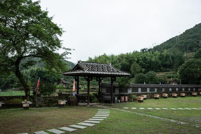 福鼎市疊石鄉：數智化蜂箱助力鄉村振興（福鼎市疊石鄉丹峰村）