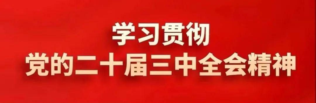 武清區召開堅持黨建引領基層治理推進美麗社區建設工作部署會（社區黨建引領基層治理匯報）