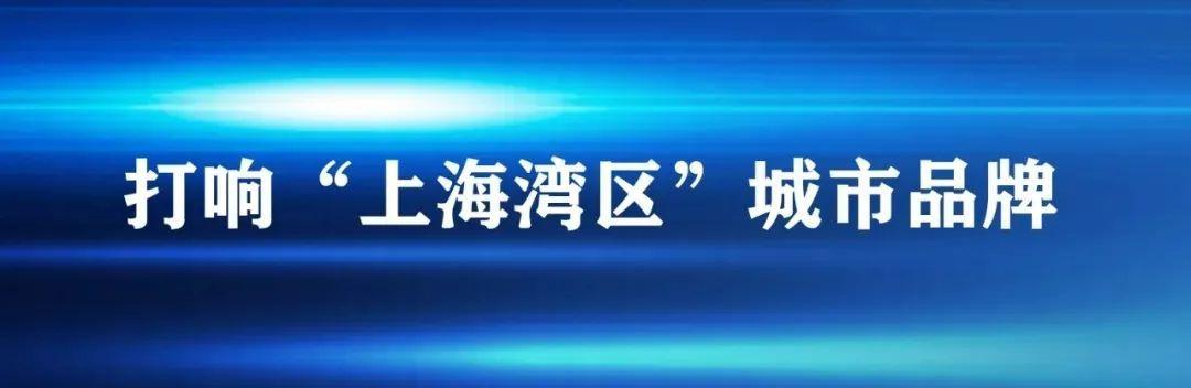 喜訊！金山這個鎮被國家點名了（喜訊!金山這個鎮被國家點名了嗎）