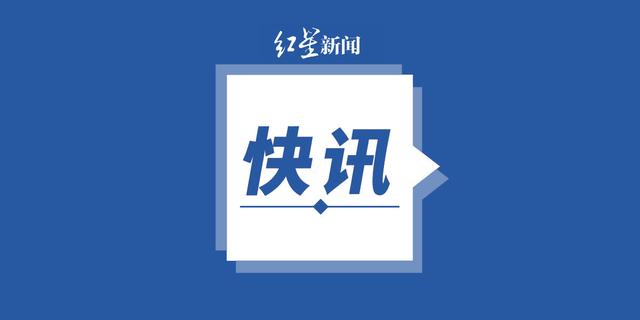 黨員民主測評也能外包？基層黨建形式主義調查