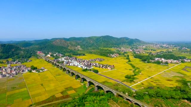 羅平鎮：激蕩黨建培訓“活水” 賦能高質量發展（抓黨建培訓）