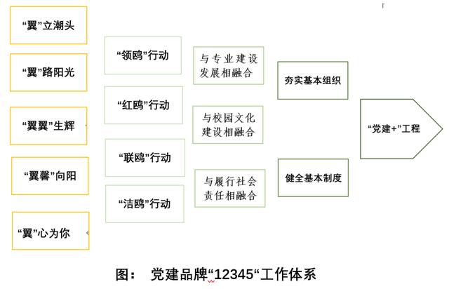 一文讀懂-“千鷗向陽”黨建品牌創建實施方案（黨建品牌 創建）