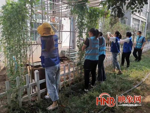 鶴壁市淇濱區(qū)泰山路街道“六個(gè)一”引領(lǐng)社區(qū)基層治理新格局（社區(qū)開展六個(gè)一活動(dòng)）