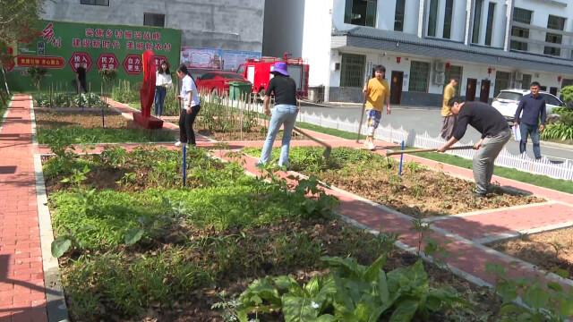 祁陽：“不忘初心小菜園”激發黨建新活力（黨建菜園宣傳）